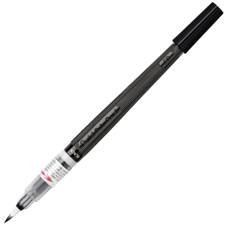 Color Brush dans le groupe Stylos / Crayons d'artistes / Feutres pinceaux chez Pen Store (104448_r)