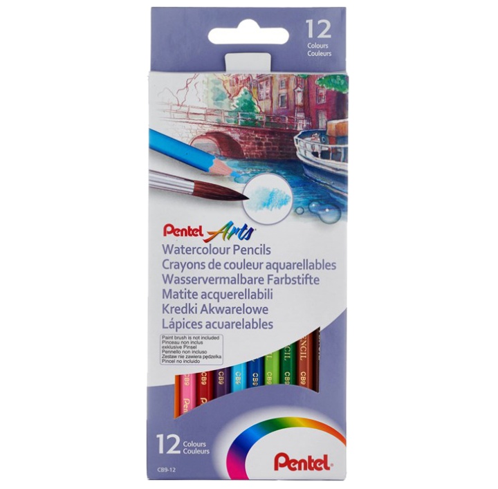 Crayons aquarelle Lot de 12 dans le groupe Stylos / Crayons d'artistes / Crayons aquarellables chez Pen Store (104622)