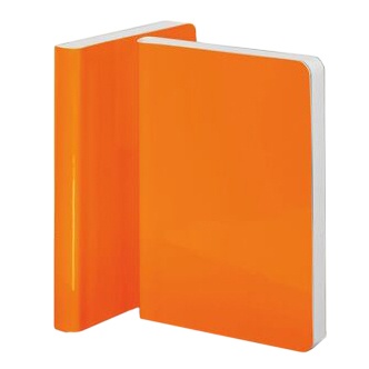 Notebook Candy S - Neon Orange dans le groupe Papiers & Blocs / Écrire et consigner / Carnets chez Pen Store (104892)