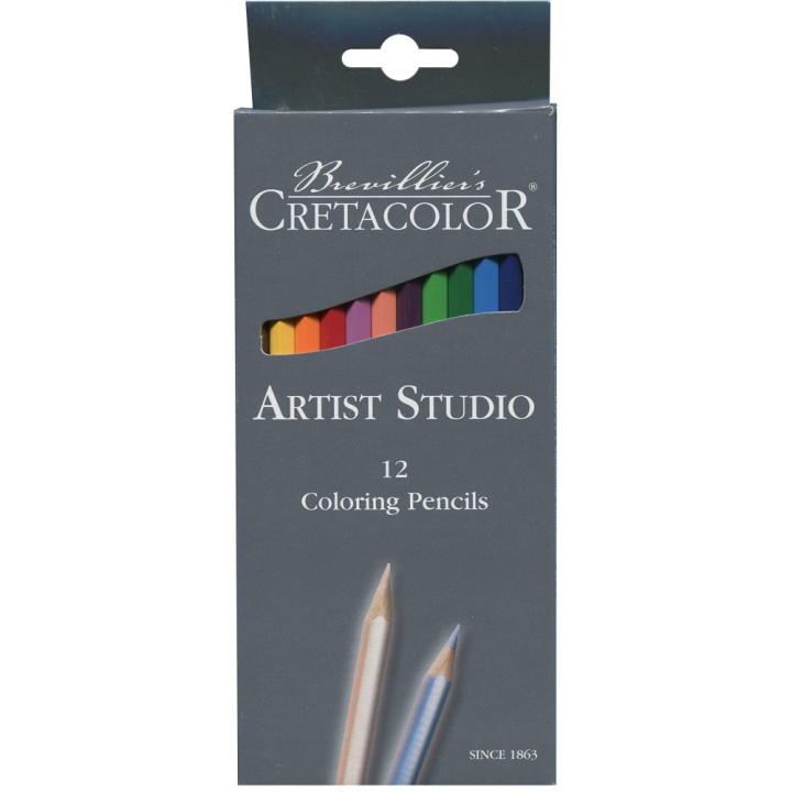Artist Studio Crayons de couleur Lot de 12 dans le groupe Stylos / Crayons d'artistes / Crayons de couleurs chez Pen Store (105029)