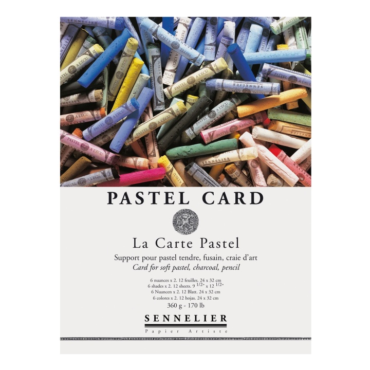 Pastel Card A4 dans le groupe Papiers & Blocs / Bloc Artiste / Bloc pastel chez Pen Store (106119)