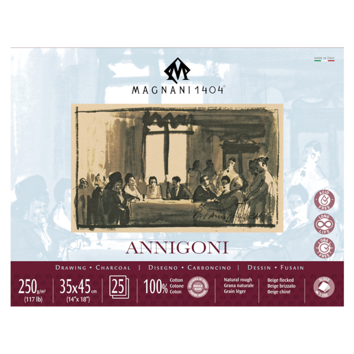 Annigoni 250g 35x45cm 25 Sheets dans le groupe Papiers & Blocs / Bloc Artiste / Bloc dessin chez Pen Store (129651)