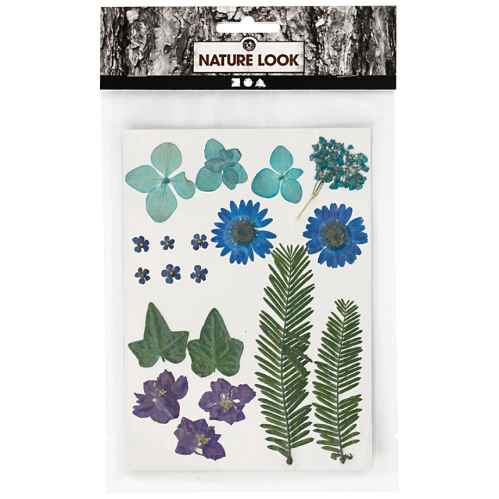 Fleurs et feuilles séchées Bleu dans le groupe Loisirs créatifs / Techniques / Cahier range-cartes chez Pen Store (130762)