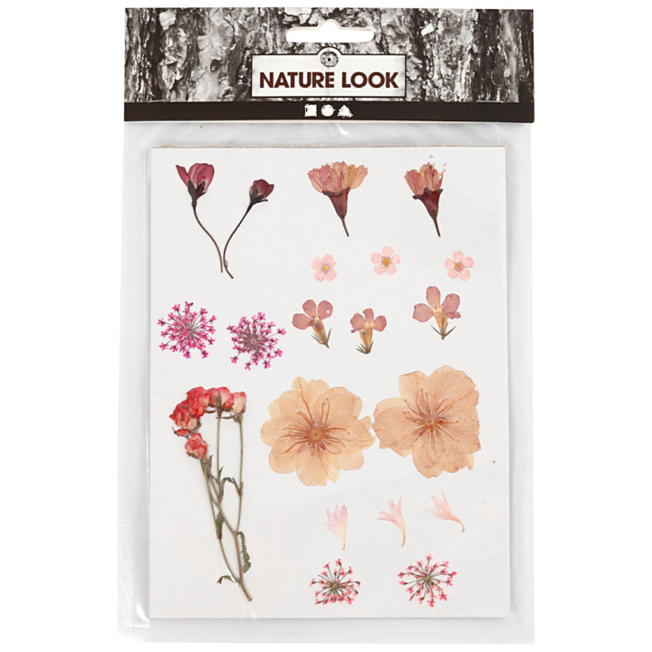 Fleurs et feuilles séchées Rose clair dans le groupe Loisirs créatifs / Former / Cahier range-cartes chez Pen Store (130763)