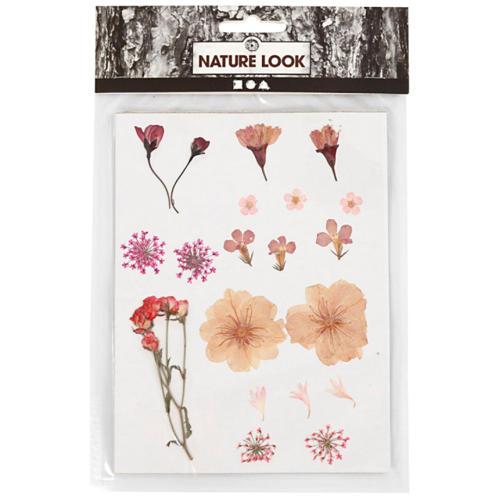Fleurs et feuilles séchées Rose clair dans le groupe Loisirs créatifs / Techniques / Cahier range-cartes chez Pen Store (130763)