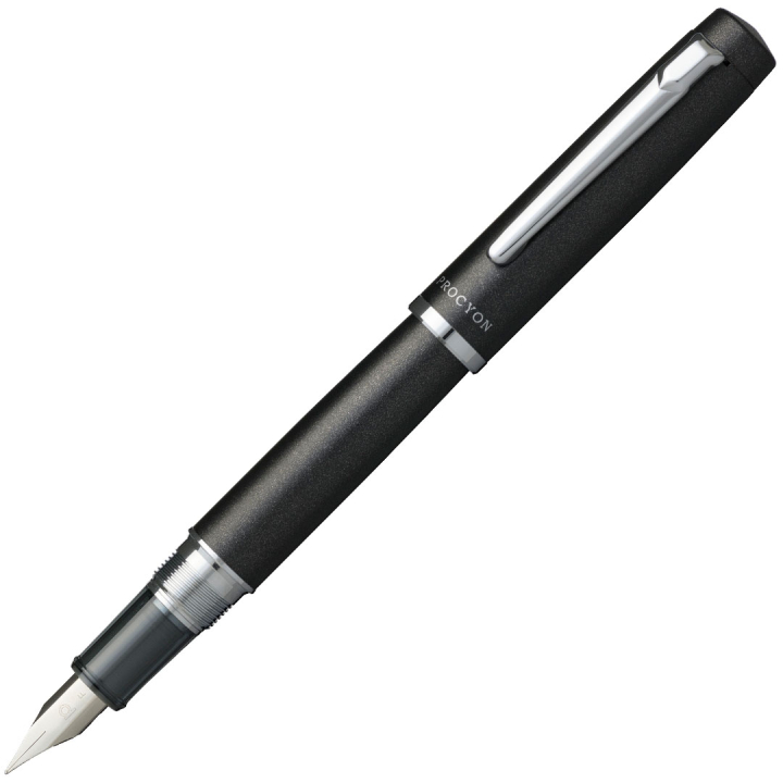 Stylo-plume Procyon Shadow Mica dans le groupe Stylos / Stylo haute de gamme / Stylo à plume chez Pen Store (133150_r)