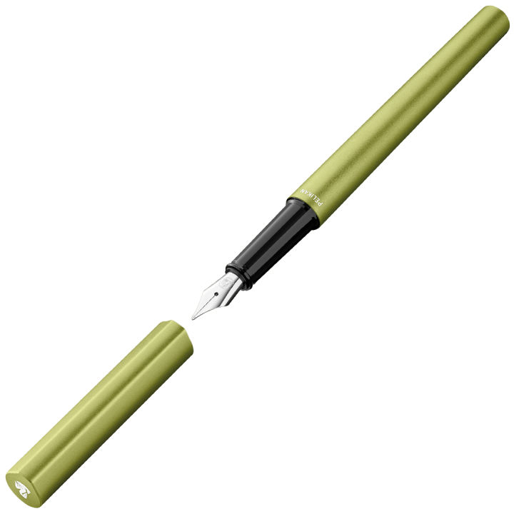 Stylo-plume INEO Elements Green Oasis dans le groupe Stylos / Stylo haute de gamme / Stylo à plume chez Pen Store (135575)