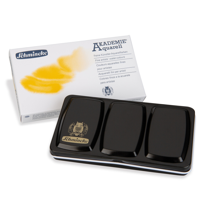 Akademie Aquarell Half Pans lot de 12 dans le groupe Matériels d'artistes / Couleurs de l'artiste / Peinture aquarelle / Aquarelle en godet chez Pen Store (137800)