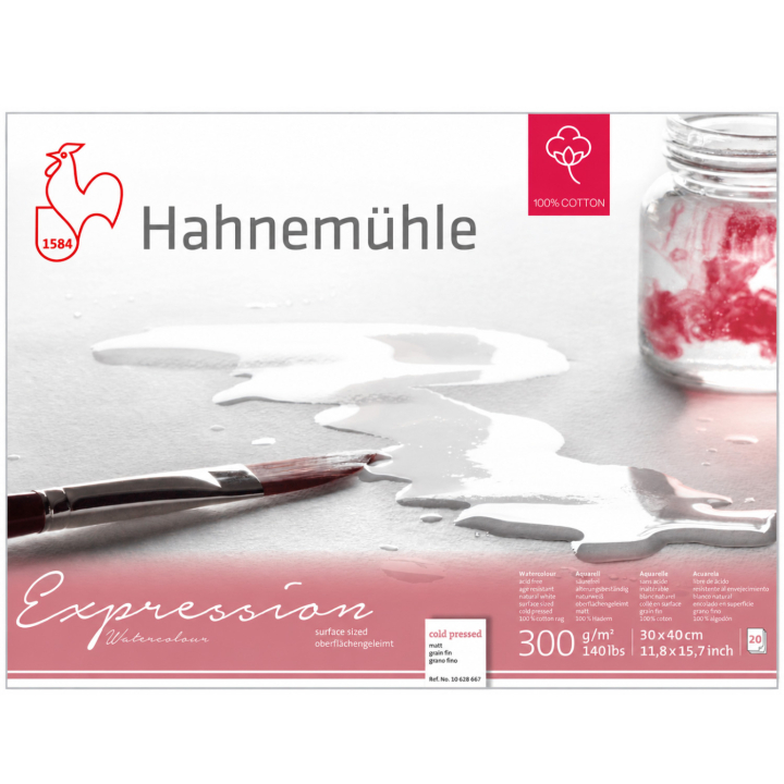 Bloc aquarelle Expression 300 g Matt 30 x 40 cm dans le groupe Papiers & Blocs / Bloc Artiste / Papier pour aquarelle chez Pen Store (138012)