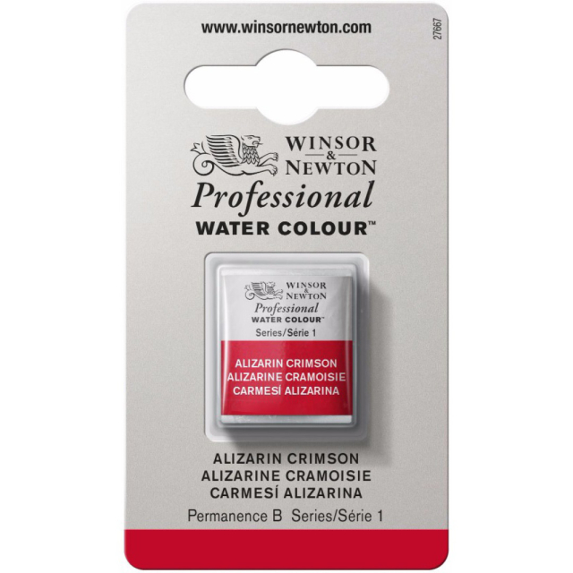 Professional Peinture aquarelle Demi-godet (Série 1)