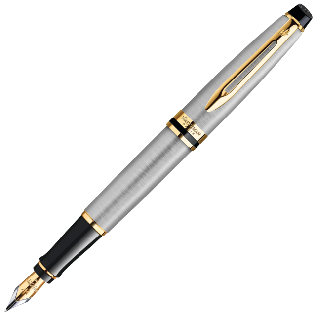 Expert Steel/Gold Stylo-plume 
