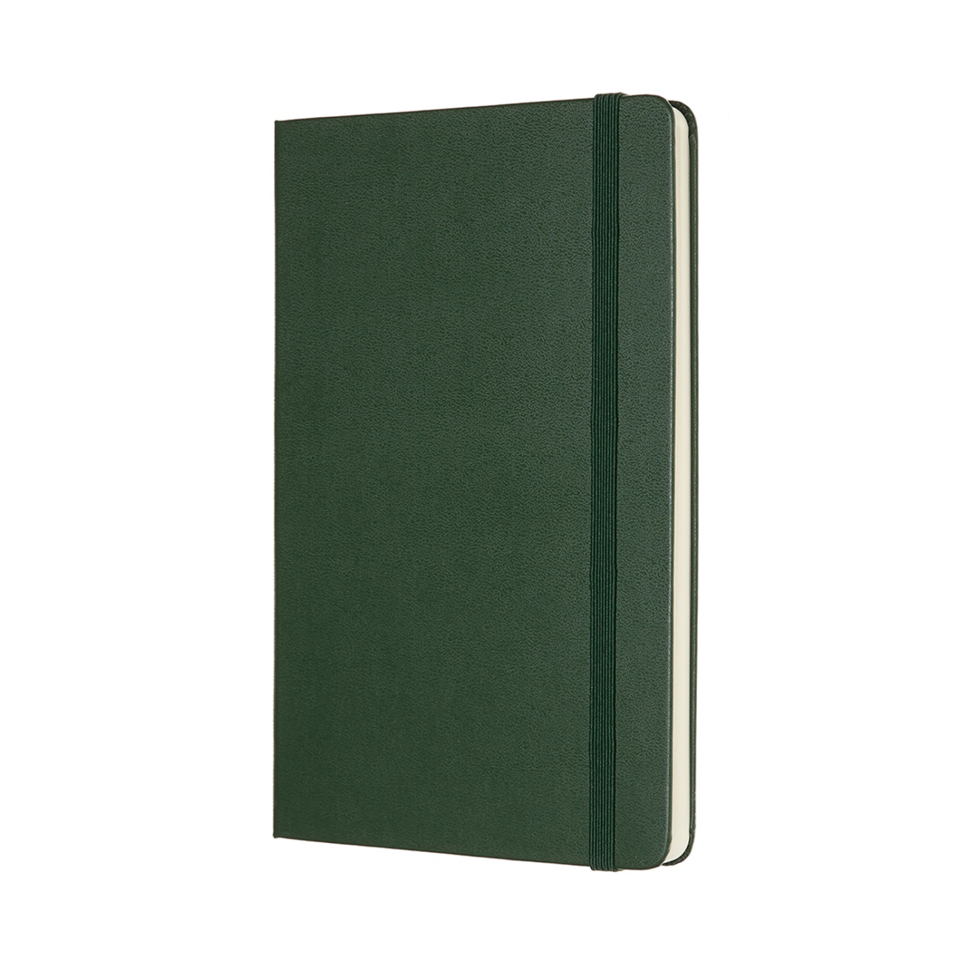 Classic Hardcover Large Myrtle Green dans le groupe Papiers & Blocs / Écrire et consigner / Carnets chez Voorcrea (100386_r)