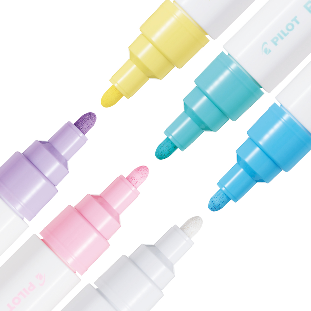 Pintor Medium lot de 6 Pastel