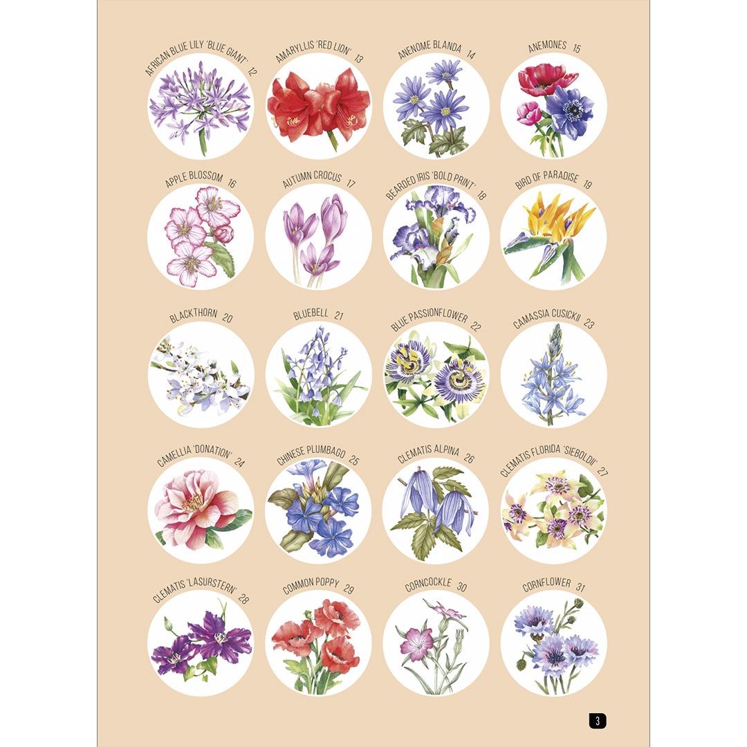 Draw 100: Flowers