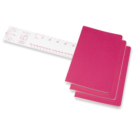 Cahier Notebook Large Pink dans le groupe Série de produits / Moleskine Cahier Collection chez Pen Store (100333_r)
