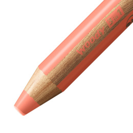 Woody 3-in-1 crayons de couleur lot de 18 + taille-crayon et pinceau (à partir de 3 ans) dans le groupe Kids / Crayons pours les enfants / Crayons de couleurs pour les enfants chez Pen Store (100445)