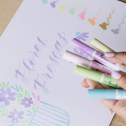 Brush Pen Pastel ensemble de 5 dans le groupe Stylos / Crayons d'artistes / Feutres pinceaux chez Pen Store (103709)