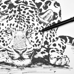 Pocket Brush Pen Set Black dans le groupe Stylos / Accessoires Crayons / Cartouches et Recharges chez Pen Store (104522)