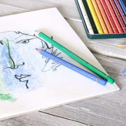 Polychromos à l'unité dans le groupe Stylos / Crayons d'artistes / Crayons de couleurs chez Pen Store (105856_r)