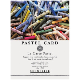 Pastel Card A3 dans le groupe Papiers & Blocs / Bloc Artiste / Bloc pastel chez Pen Store (106120)