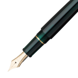 #3776 Century Stylo-plume Laurel Green dans le groupe Stylos / Stylo haute de gamme / Stylo à plume chez Pen Store (109843_r)