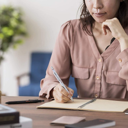 600 Stylo Multiples Argent dans le groupe Stylos / Écrire / Stylos multicolores chez Pen Store (127778)