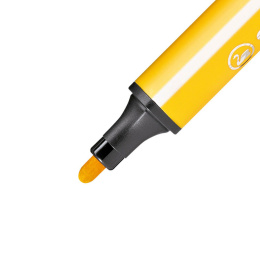 Trio Scribbi Feutres de coloriage Lot de 14 dans le groupe Kids / Crayons pours les enfants / Feutres pour les enfants chez Pen Store (127798)