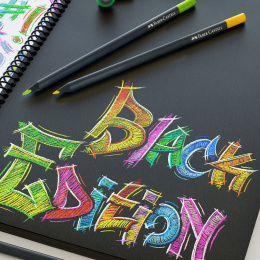 Crayons de couleur Black Edition Lot de 24 dans le groupe Stylos / Crayons d'artistes / Crayons de couleurs chez Pen Store (128254)