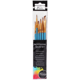 Set de pinceaux professionnels 6 pièces dans le groupe Matériels d'artistes / Pinceaux / Sets de pinceaux chez Pen Store (128552)