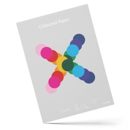 Papier coloré A4 50 feuilles 220g dans le groupe Papiers & Blocs / Bloc Artiste / Papier couleur chez Pen Store (129945)