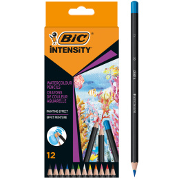 Crayons d'aquarelle Intensity ensemble de 12 dans le groupe Stylos / Crayons d'artistes / Crayons aquarellables chez Pen Store (130133)