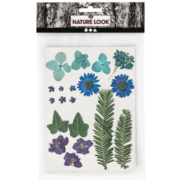 Fleurs et feuilles séchées Bleu dans le groupe Loisirs créatifs / Techniques / Cahier range-cartes chez Pen Store (130762)
