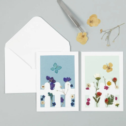Fleurs et feuilles séchées Bleu dans le groupe Loisirs créatifs / Former / Cahier range-cartes chez Pen Store (130762)