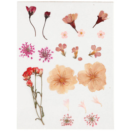 Fleurs et feuilles séchées Rose clair dans le groupe Loisirs créatifs / Former / Cahier range-cartes chez Pen Store (130763)