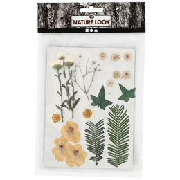 Fleurs et feuilles séchées Blanc brut dans le groupe Loisirs créatifs / Techniques / Cahier range-cartes chez Pen Store (130765)