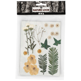 Fleurs et feuilles séchées Blanc brut dans le groupe Loisirs créatifs / Former / Cahier range-cartes chez Pen Store (130765)