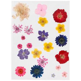 Fleurs et feuilles séchées Couleurs mélangées dans le groupe Loisirs créatifs / Former / Cahier range-cartes chez Pen Store (130767)