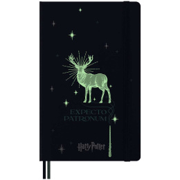 Hard Cover Notebook Large Harry Potter Expecto Patronum dans le groupe Papiers & Blocs / Écrire et consigner / Carnets chez Pen Store (132483)