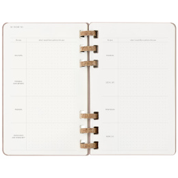 12M Spiral Planner 2025 XL Almond dans le groupe Papiers & Blocs / Calendriers et agendas / Calendriers 12 mois chez Pen Store (133786)