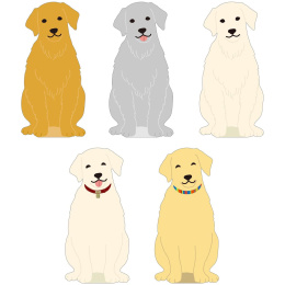 Golden Retriever Memo dans le groupe Papiers & Blocs / Écrire et consigner / Post-it et blocs-notes chez Pen Store (134654)