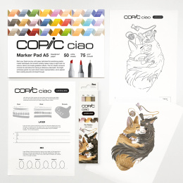 Ciao Layer & Mix 2D Starter Set Pet dans le groupe Stylos / Crayons d'artistes / Feutres d'illustrations chez Pen Store (135133)