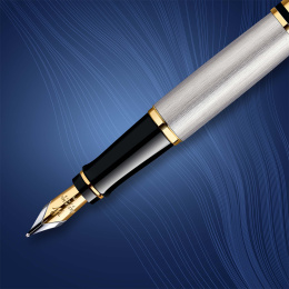 Expert Steel/Gold Stylo-plume  dans le groupe Stylos / Stylo haute de gamme / Stylo à plume chez Pen Store (135459_r)