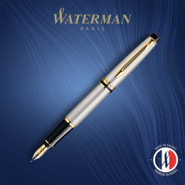 Expert Steel/Gold Stylo-plume  dans le groupe Stylos / Stylo haute de gamme / Stylo à plume chez Pen Store (135459_r)