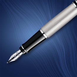 Expert Steel Stylo-plume Medium dans le groupe Stylos / Stylo haute de gamme / Stylo à plume chez Pen Store (135462)