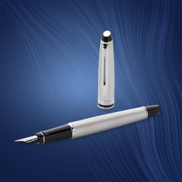 Expert Steel Stylo-plume Medium dans le groupe Stylos / Stylo haute de gamme / Stylo à plume chez Pen Store (135462)
