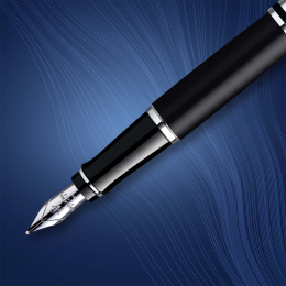 Expert Matt Black Stylo-plume Medium dans le groupe Stylos / Stylo haute de gamme / Stylo à plume chez Pen Store (135464)