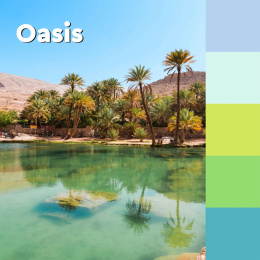 Post-it Super Sticky 76x76 Mélange de couleurs Oasis pack de 5 dans le groupe Papiers & Blocs / Écrire et consigner / Post-it et blocs-notes chez Pen Store (135718)
