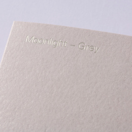 Notepad - Moonlight Grey dans le groupe Papiers & Blocs / Écrire et consigner / Carnets chez Pen Store (135782) Notepad - Moonlight Grey dans le groupe Papiers & Blocs / Écrire et consigner / Carnets chez Pen Store (135782)