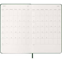 Calendrier 12M Daily 2026 Hardcover Large Myrtle Green dans le groupe Papiers & Blocs / Calendriers et agendas / Calendriers 12 mois chez Pen Store (136083)
