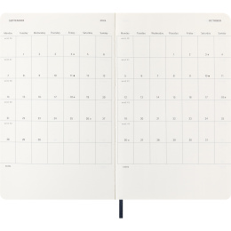 Calendrier 12M Daily 2026 Softcover Large Sapphire Blue dans le groupe Papiers & Blocs / Calendriers et agendas / Calendriers 12 mois chez Pen Store (136087)